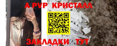 шишки Сланцы