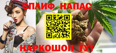твердый Ставрополь