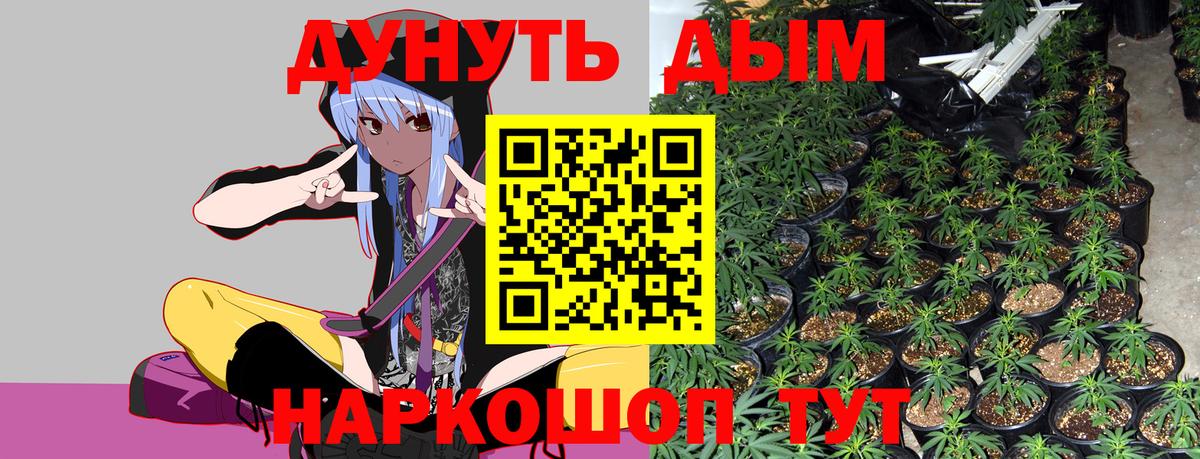Бошки марихуана ГИДРОПОН Петропавловск-Камчатский